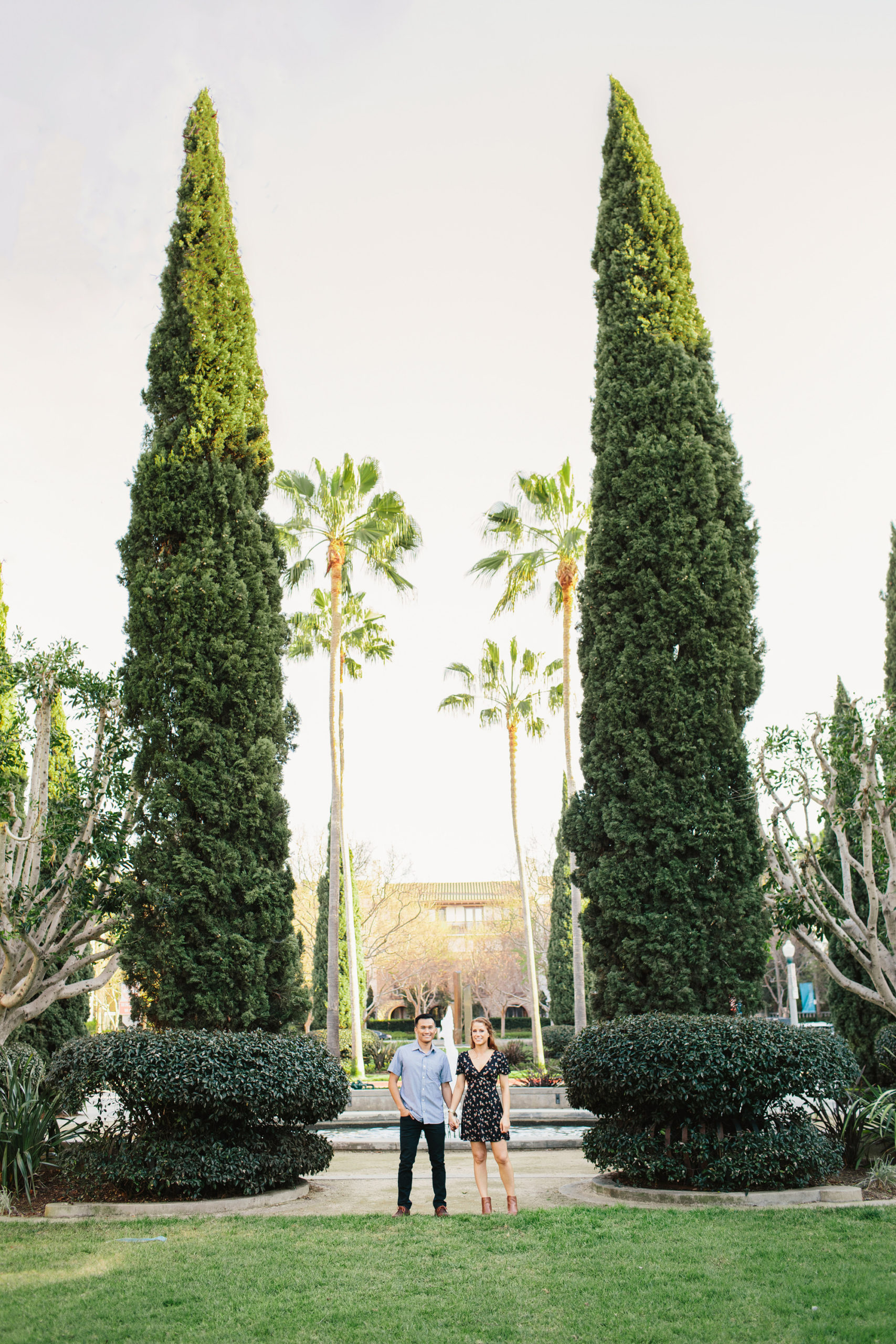 engagement photo couple standing between two large cypress trees