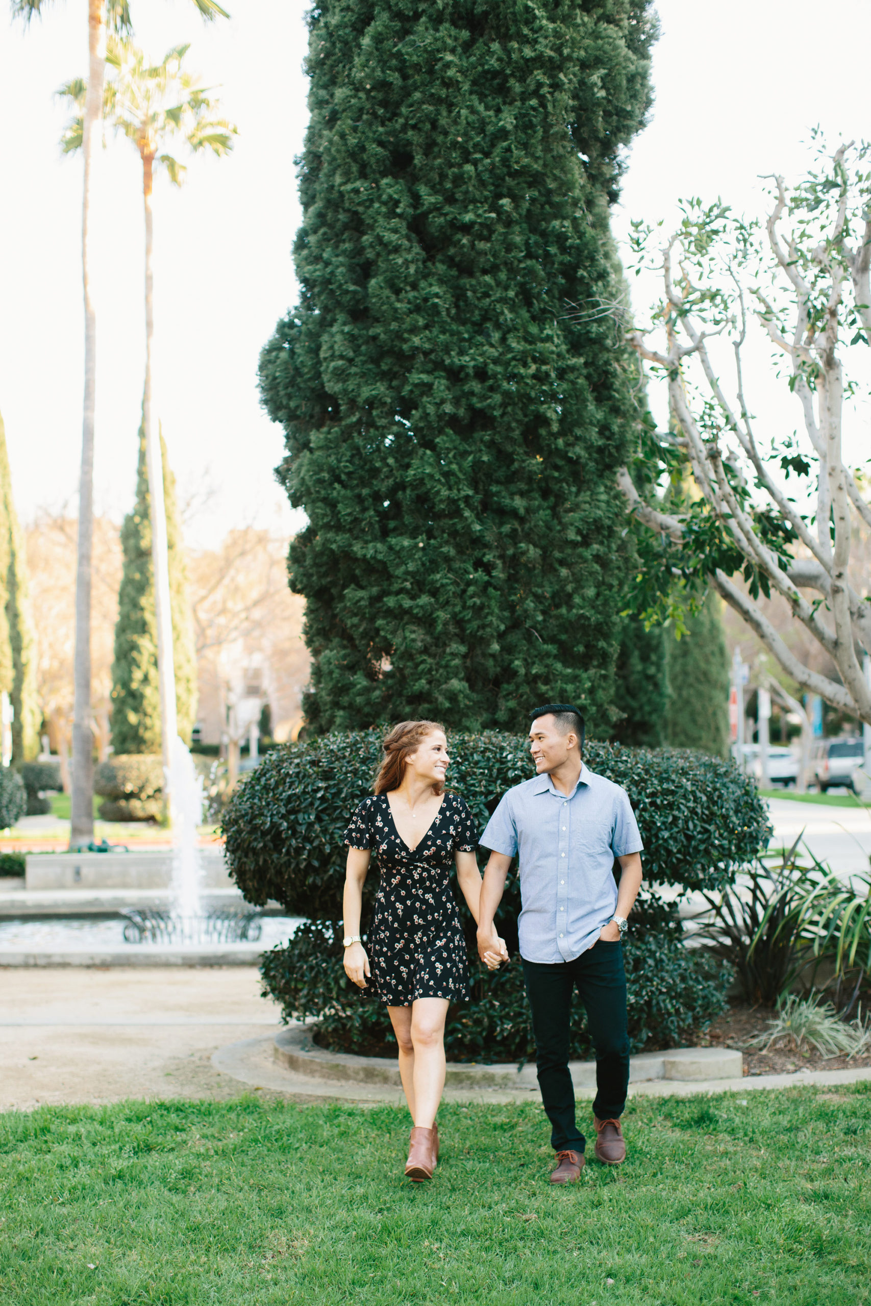 park engagement session with large cypress in background